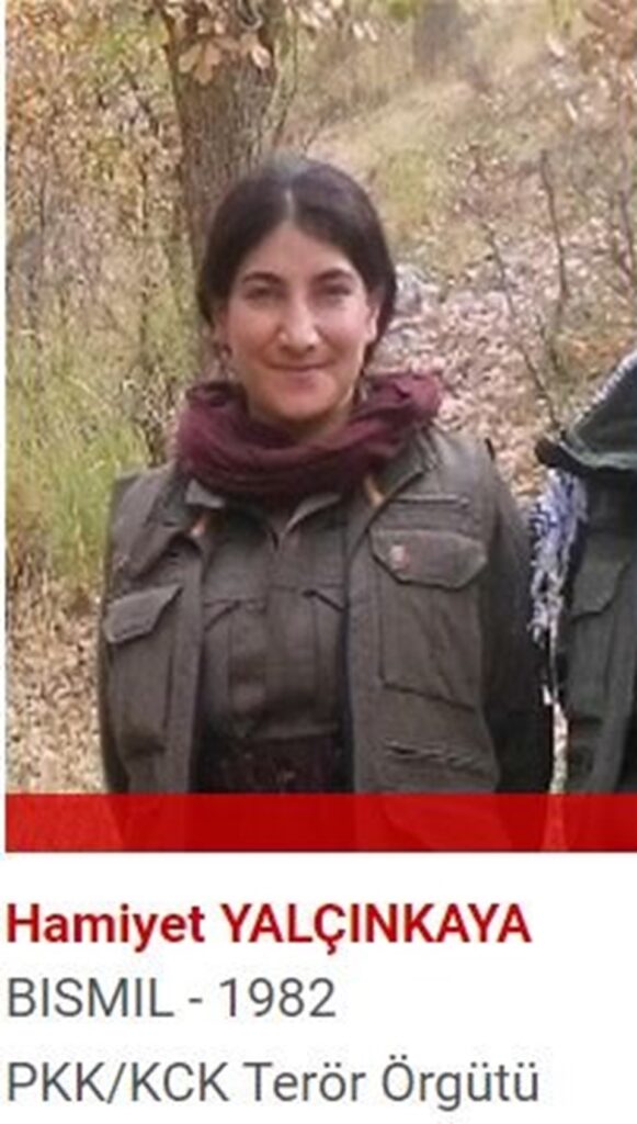 Bakan Soylu: Türkiye'deki en üst düzey terörist etkisiz hale getirildi - Son Dakika Türkiye Haberleri