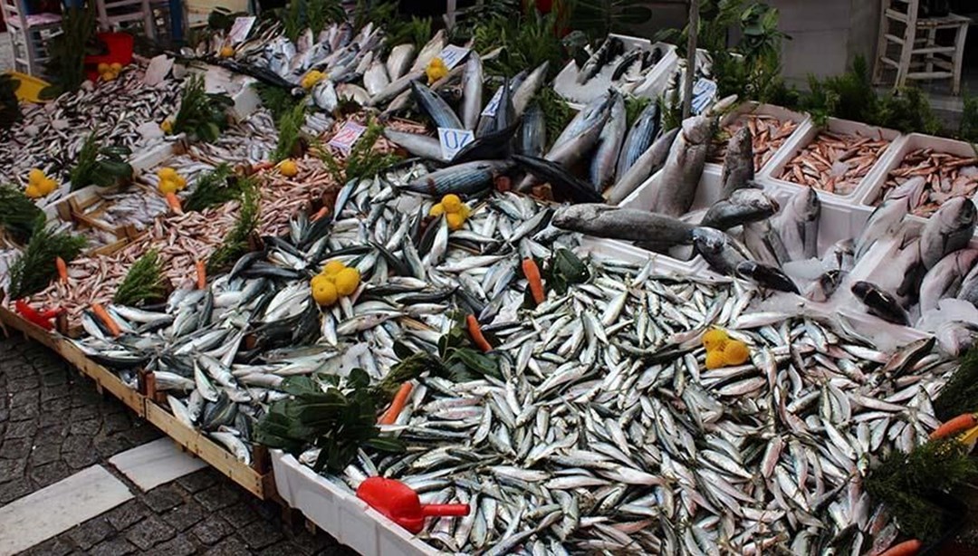 Balıkçı tezgahlarında çeşitlilik artarken fiyatlarda da düşüş yaşanıyor – Son Dakika Ekonomi Haberleri