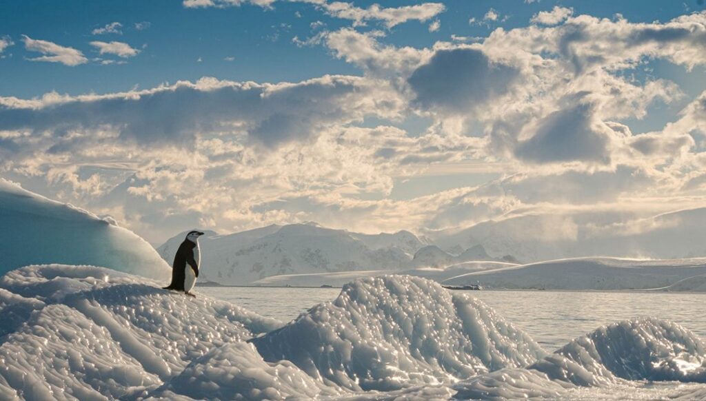Bilim insanları uyardı: Antarktika buzullarının erimesi nedeniyle okyanuslar daha az karbondioksit emiyor - Son Dakika Dünya Haberleri