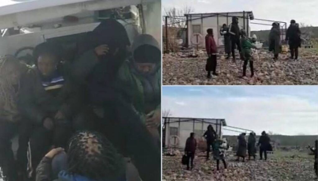 Göçmenler 'Yunanistan' diye Çıplak Ada'ya bırakıldı - Son Dakika Türkiye Haberleri