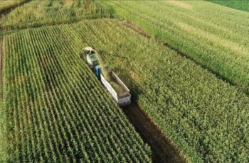 Çiftçilere 1,7 milyar liralık tarımsal destek ödemesi bugün – Son Dakika Ekonomi Haberleri