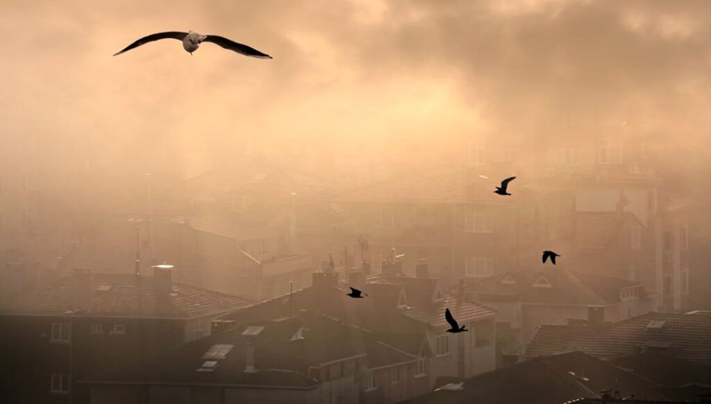 Türkiye'nin en kirli havaya sahip illeri belli oldu - Son Dakika Türkiye Haberleri