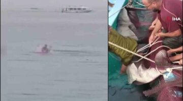 Mısır’da dehşet anları! Köpek balığı saldırısına uğrayan Rus turist hayatını kaybetti